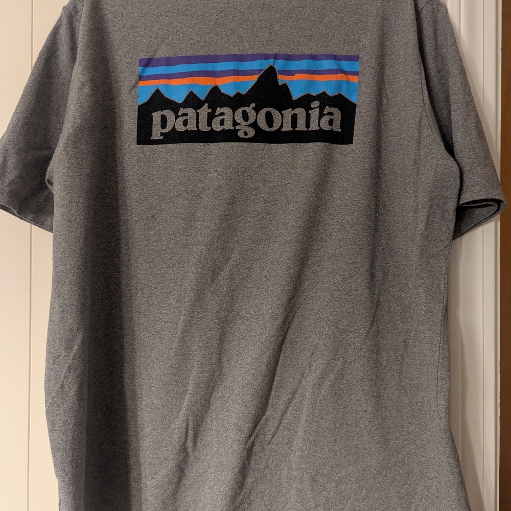 Patagonia Gray Tee with Blue and Orange Accents